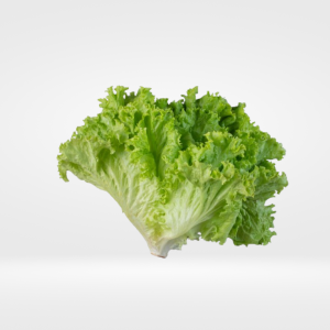 Lettuce
